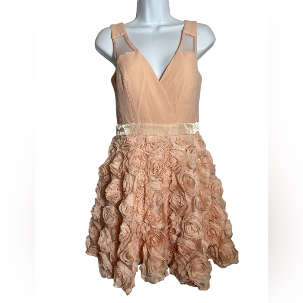 A Drea dress size small beautiful blush‎ pink fit-n-flare sheer back mini dress